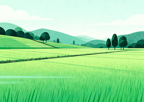 雪茄和香烟有什么区别？看完就懂了