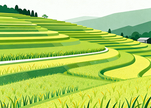 雪茄和香烟有什么区别？看完就懂了