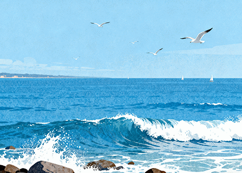 雪茄怎么抽才正确？完整步骤图解（新手必看）