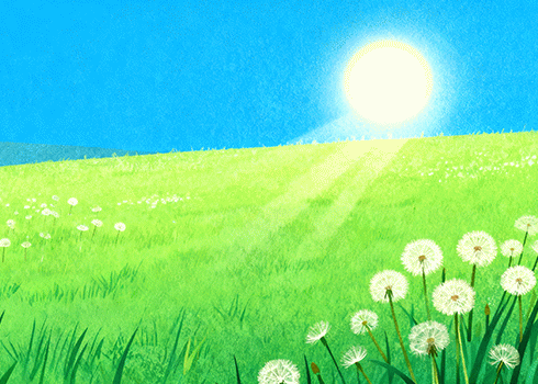 雪茄和香烟有什么区别？看完就懂了