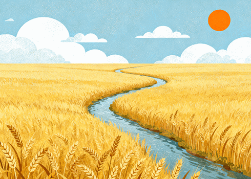 雪茄怎么抽才正确？完整步骤图解（新手必看）