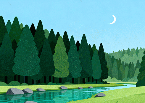 雪茄怎么抽才正确？完整步骤图解（新手必看）